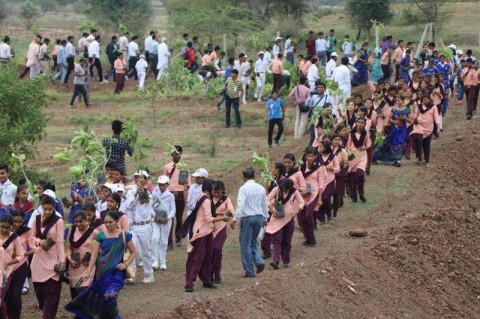 Жители Индии высадили 66 млн деревьев за полдня 