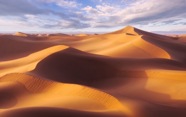Ученые сообщили, что Сахара может полностью стать зелёной  