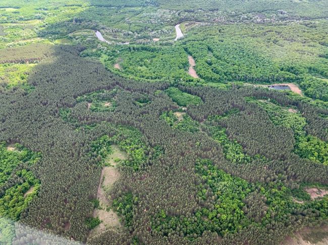 Харьковский губернатор пообещал наглядно показать масштаб вырубок лесов