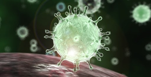 Ученые США обнаружили белок, нейтрализующий коронавирус: подробности