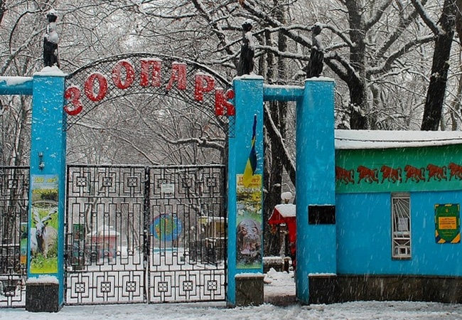 Harkovskij Zoopark Stanet Besplatnym No Budet Odno Isklyuchenie Novosti Dosuga V Ukraine Harkove Ves Harkov