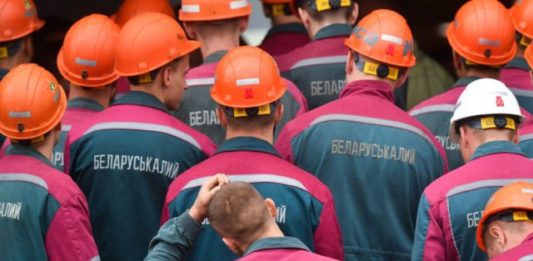Кризис в Беларуси: крупнейшая компания Новой Зеландии прекращает контакты с «Беларуськалием»