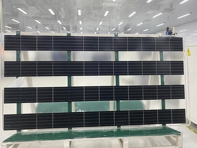Вьетнамская компания создала прозрачный фотоэлектрический модуль для агроэнергетики