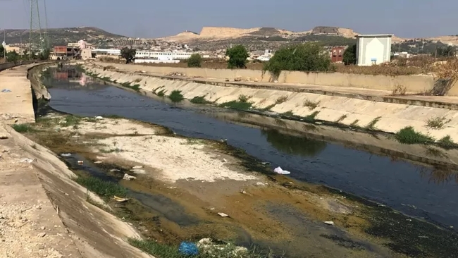 Річки парацетамолу. Забруднення водойм ліками загрожує здоровю людства