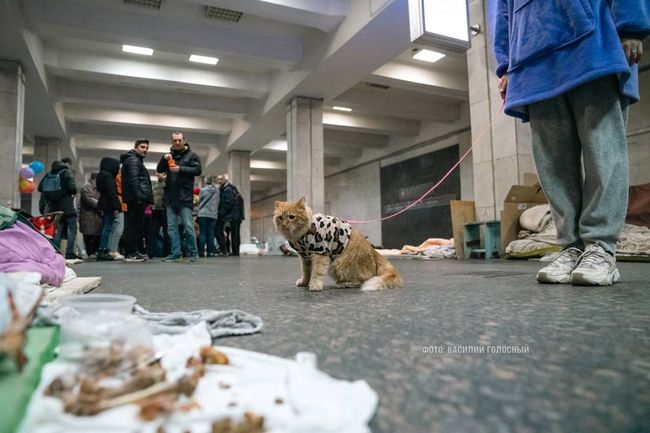 Важлива памʼятка про роботу метро у Харкові, як укриття