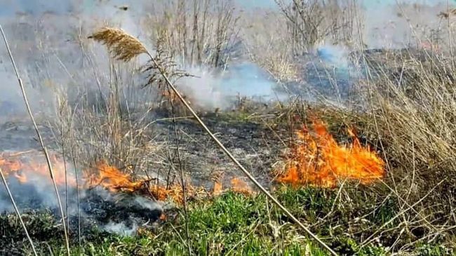 Окупанти почали скидати з БПЛА суміші, які спричиняють пожежі