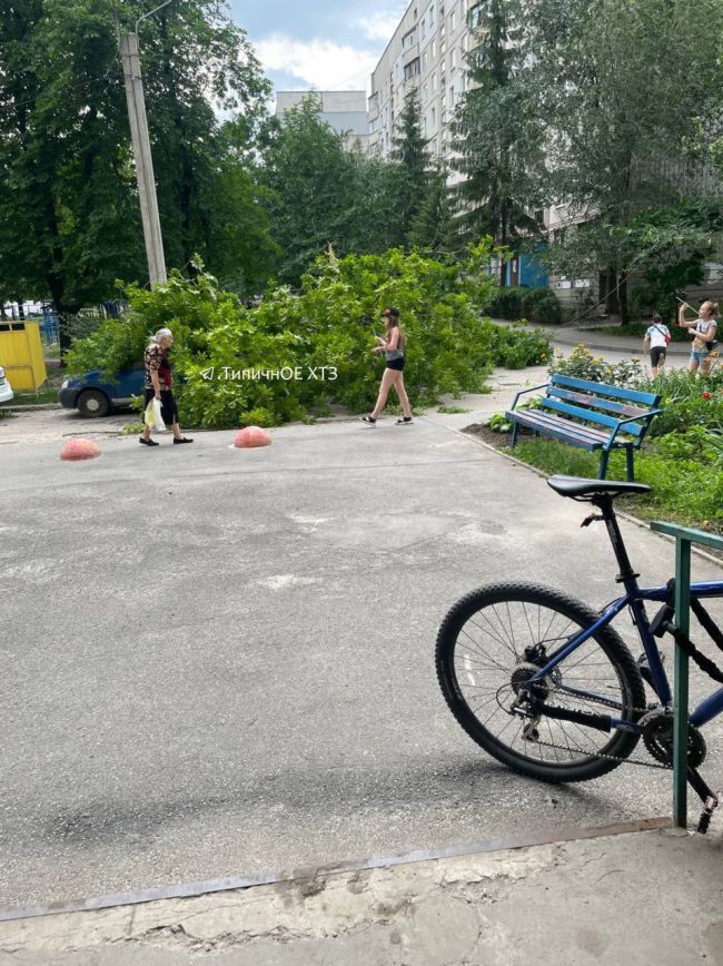 Вчора у Харкові був вітерець (ФОТО)