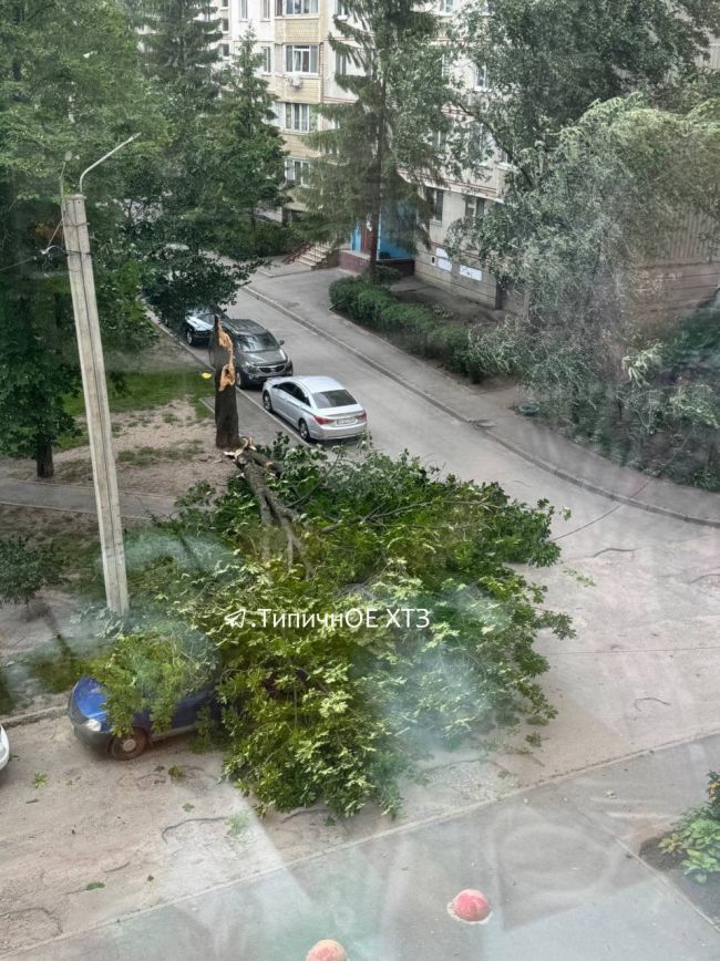 Вчора у Харкові був вітерець (ФОТО)