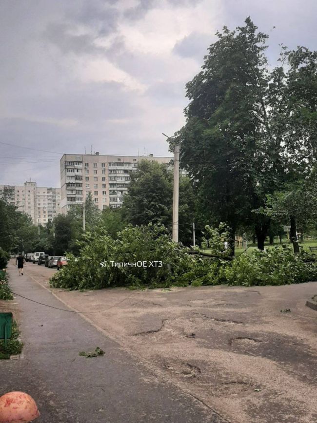 Вчора у Харкові був вітерець (ФОТО)