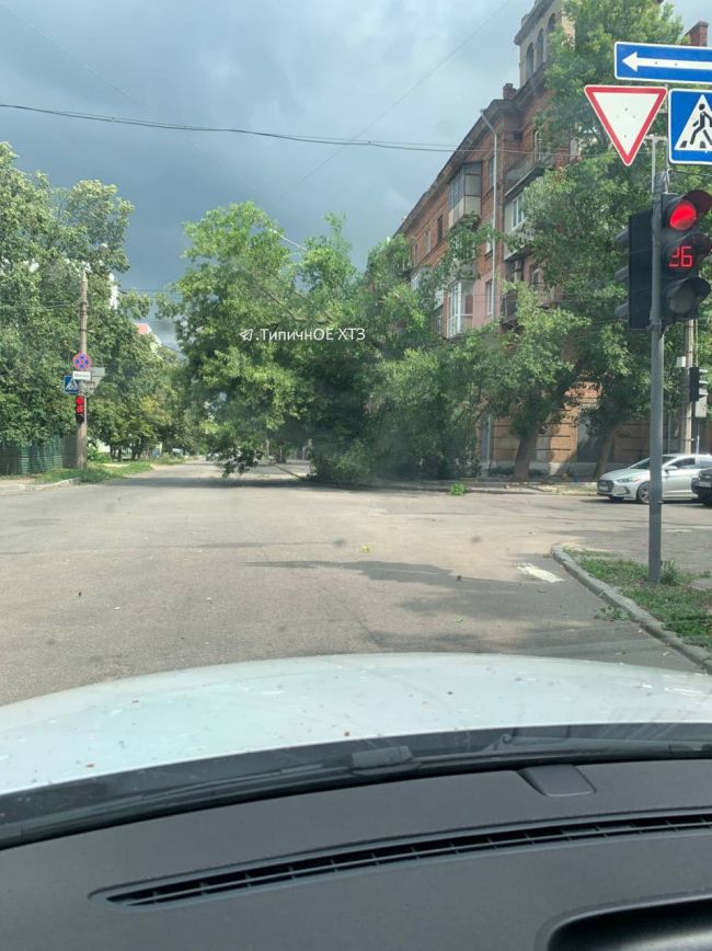 Вчора у Харкові був вітерець (ФОТО)