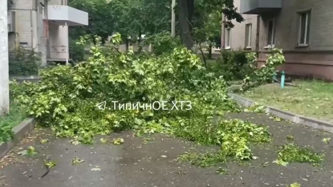 Вчора у Харкові був вітерець (ФОТО)