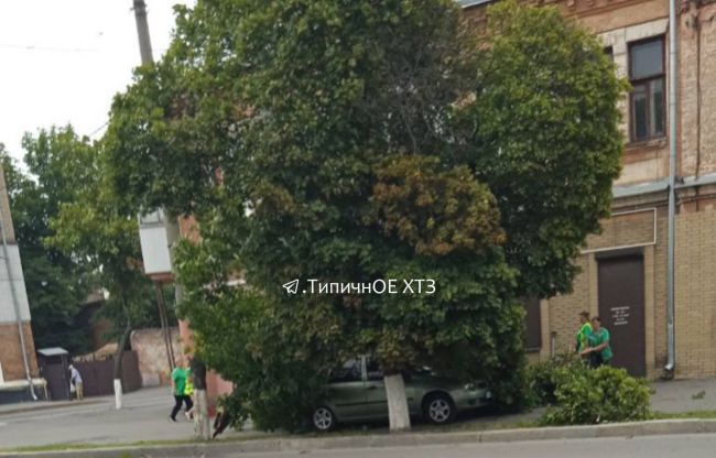 Вчора у Харкові був вітерець (ФОТО)