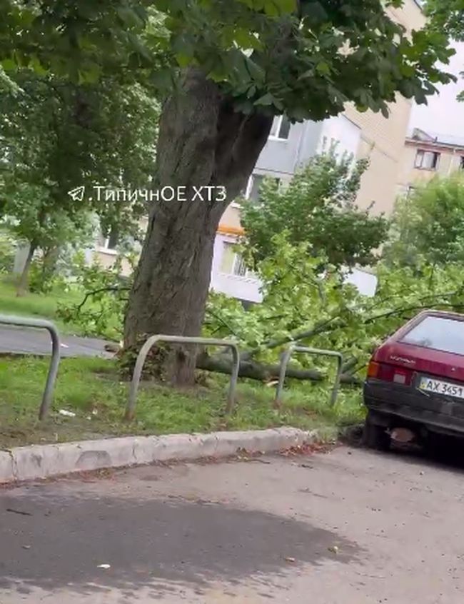 Вчора у Харкові був вітерець (ФОТО)