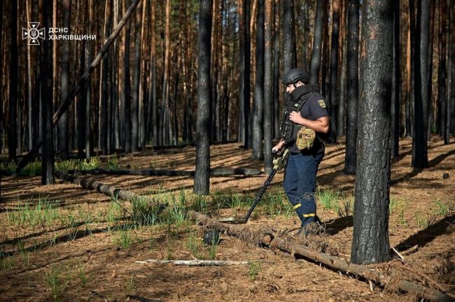 Горе, розруху, сльози та купу вже іржавого, проте смертоносного, залізяччя — все, що залишили по собі російські окупанти, тікаючи з Харківщини