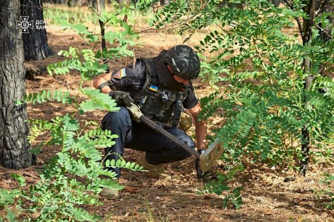 Горе, розруху, сльози та купу вже іржавого, проте смертоносного, залізяччя — все, що залишили по собі російські окупанти, тікаючи з Харківщини