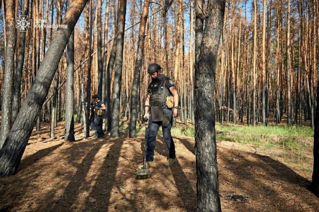 Горе, розруху, сльози та купу вже іржавого, проте смертоносного, залізяччя — все, що залишили по собі російські окупанти, тікаючи з Харківщини