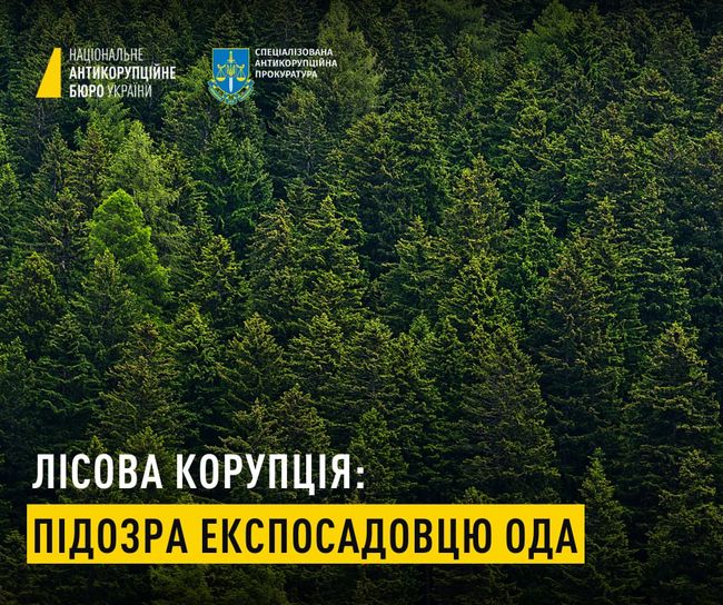 200 тис. доларів хабаря: підозрюється ексзаступник голови ОДА