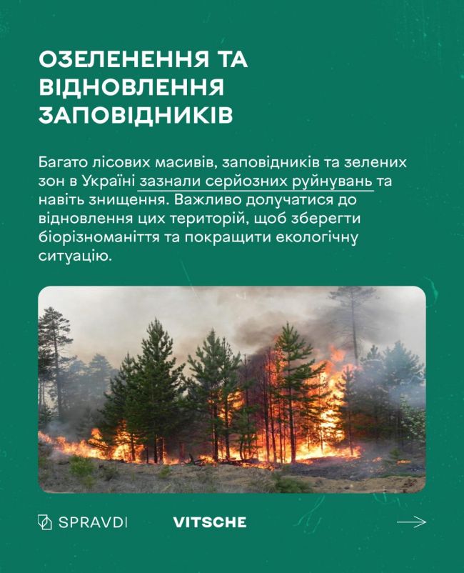 Чому війна не повинна стати на заваді піклуванню про екологію?