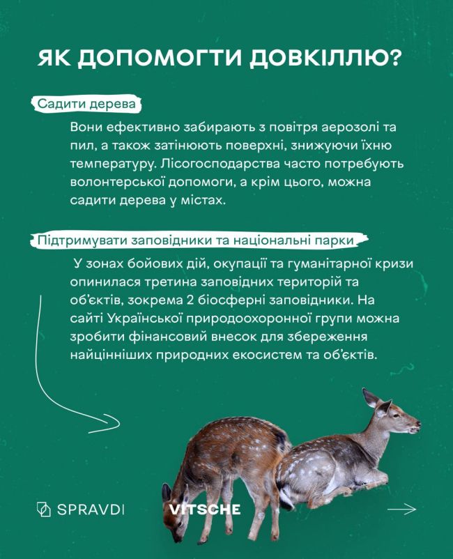 Чому війна не повинна стати на заваді піклуванню про екологію?